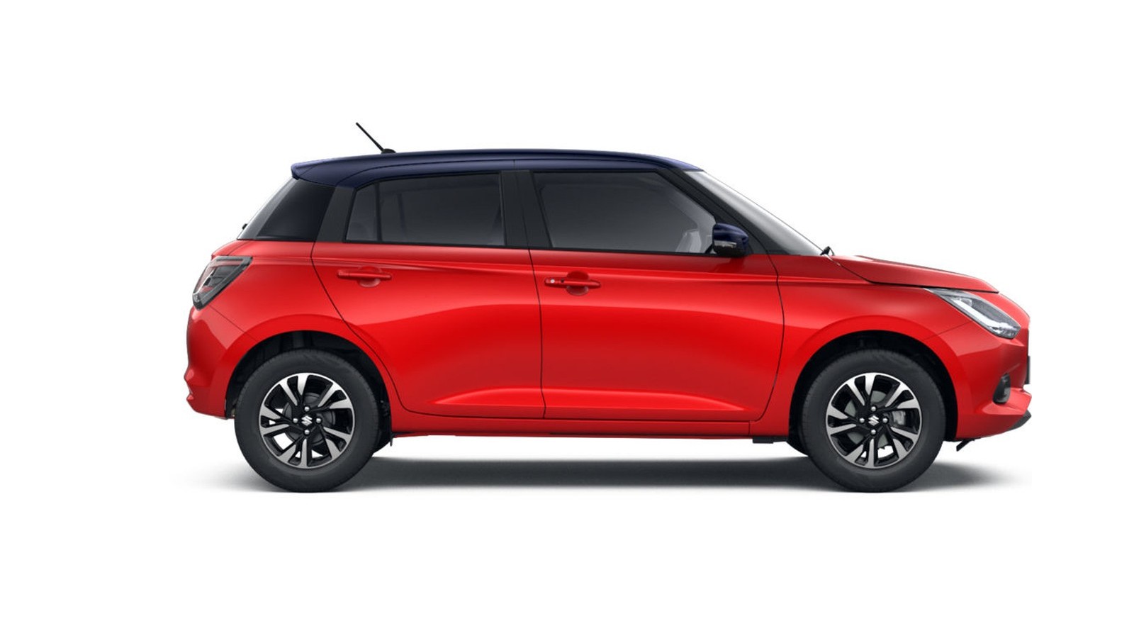 Swift photo 4
