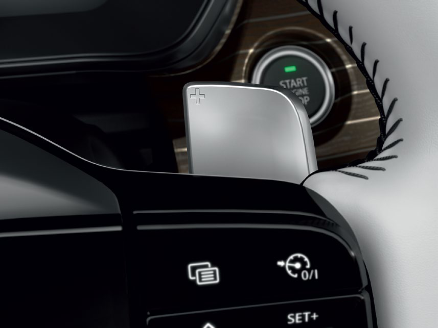 Tata Safari — Paddle shifters for quick manual gear changes on the automatic