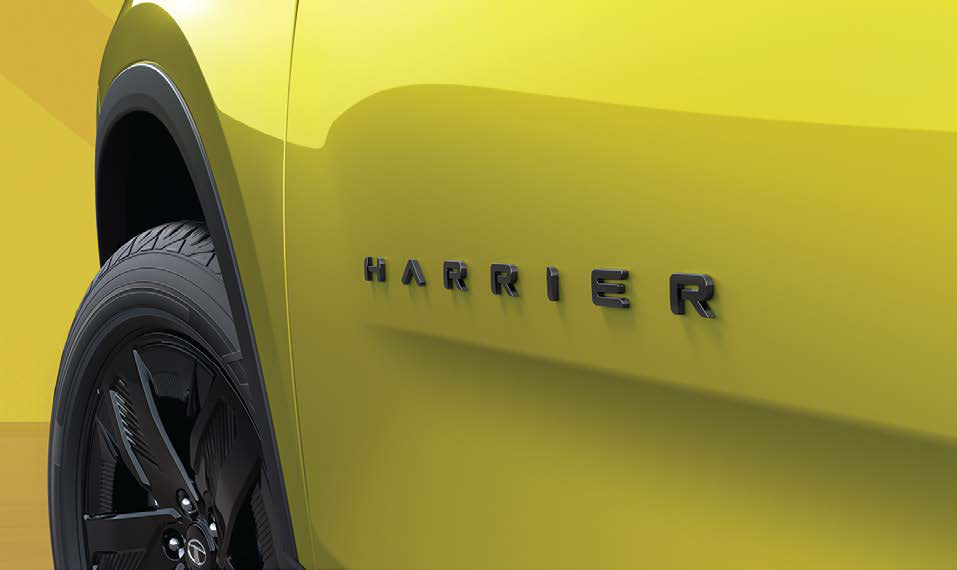 Tata Harrier — Signature Harrier mascot lettering on the doors