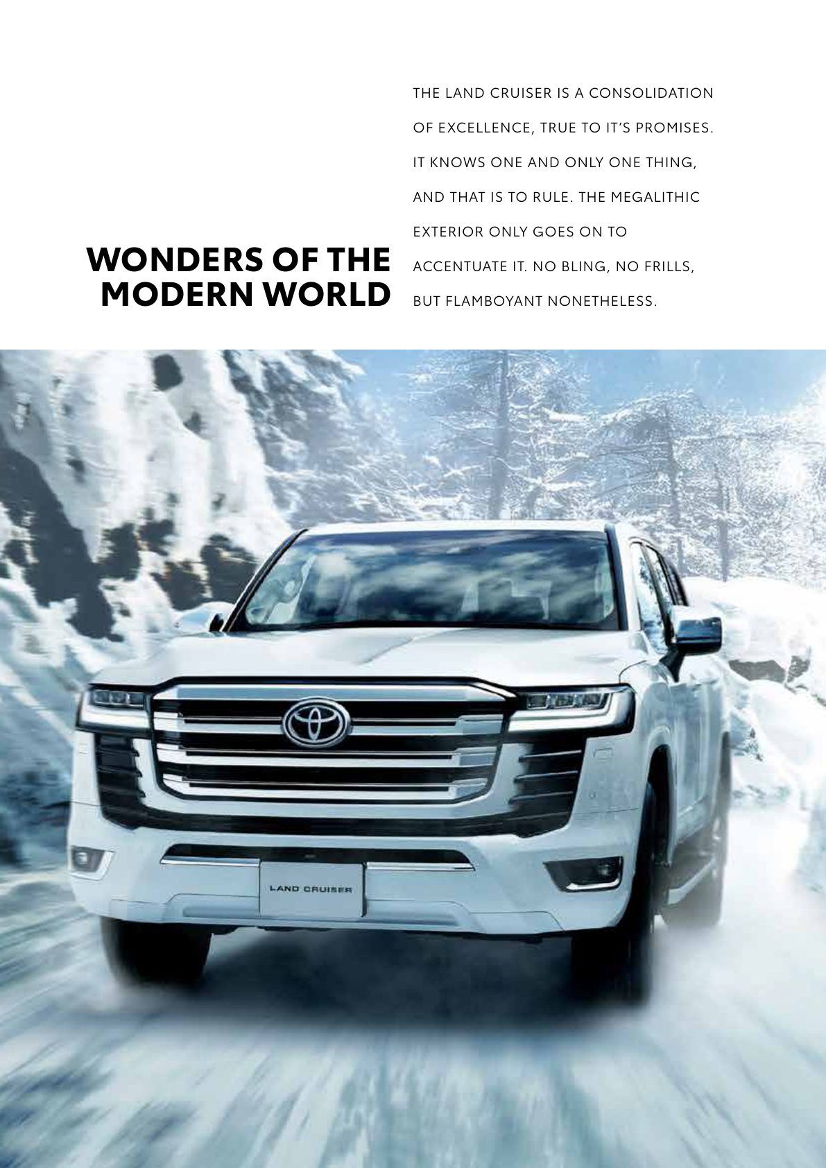 Toyota Land Cruiser — image 5